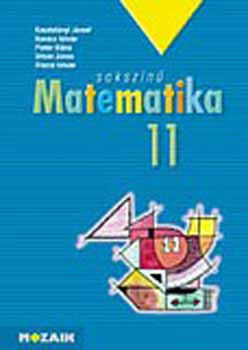 Sokszínű matematika tankönyv 11. osztály - Kosztolányi József, Kovács István, Pintér Klára, Urbán János, Vincze István