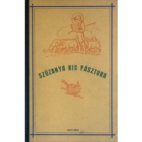   Szűzanya kis pásztora-Szent Bosco János élete születésétől a szemináriumba való belépéséig - Lintnerné Fittler Vilma