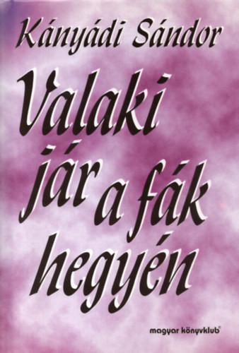 Valaki jár a fák hegyén (Kányádi Sándor egyberostált versei) - Kányádi Sándor