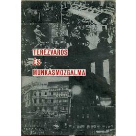 Terézváros és munkásmozgalma - Pille-Gallai