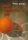 Csak a narancs volt (A Fidesz története Fodor Gábor, Hegedűs István, Molnár Péter, Szelényi Zsuzsanna, Ungár Klára visszaemlékezésében) - Petőcz György