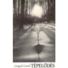 Tépelődés (Magyarország felfedezése) - Lengyel László