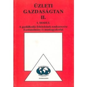   Üzleti gazdaságtan II. - 1 modul - Joanovicsné Kerekes Mária