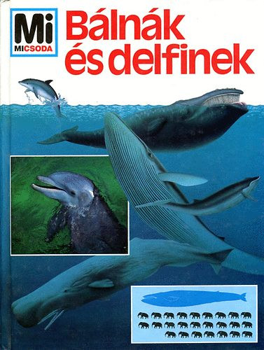 Bálnák és delfinek - Petra Deimer