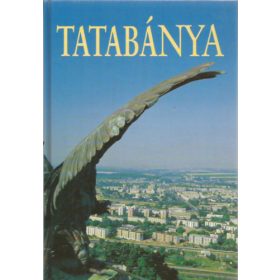 Tatabánya 2000-ben (Fotóalbum) -