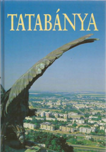 Tatabánya 2000-ben (Fotóalbum) - 