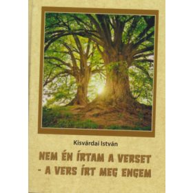   Nem én írtam a verset - a vers írt meg engem - Kisvárdai István
