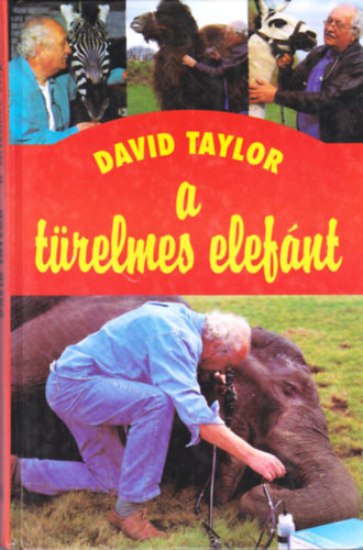 A türelmes elefánt - David Taylor