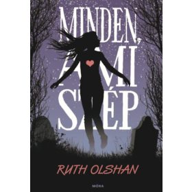 Minden, ami szép - Ruth Olshan