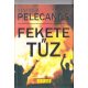Fekete tűz - George P. Pelecanos