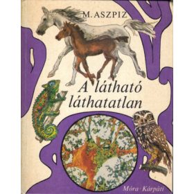 A látható láthatatlan - M. Aszpiz