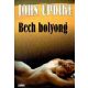 John Updike: Bech bolyong