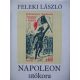 Feleki LÁszló: Napoleon utókora