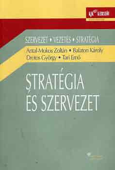 Stratégia és szervezet - Antal-Balaton-Drótos-Tari