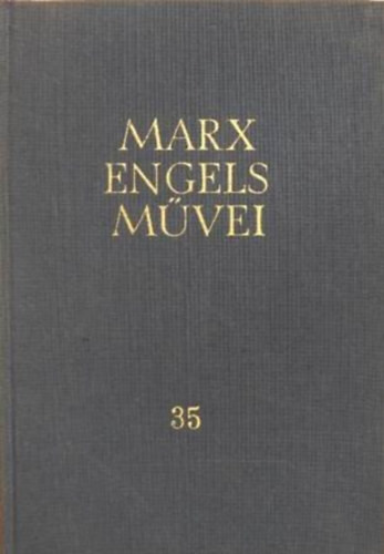 Karl Marx és Friedrich Engels művei 35. (Levelek1881-1883) - 