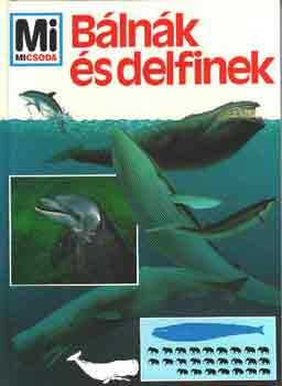 Bálnák és delfinek (Mi micsoda) - Petra Deimer