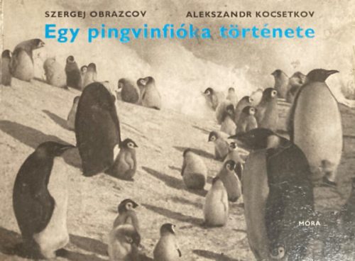 Egy pingvinfióka története - Obrazcov, Sz.-Kocsetkov, A.