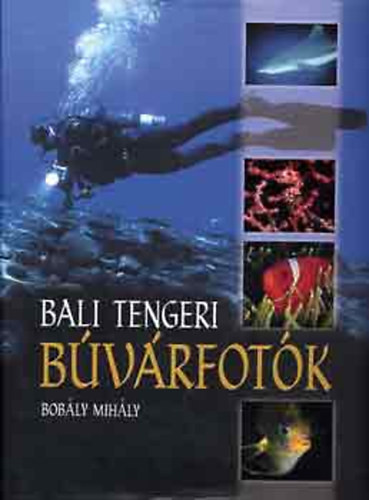 Bali tengeri búvárfotók - Bobály Mihály