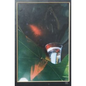   Szél Ágnes (1944- ) fotóművész jelzett felvétele - Tükröződés