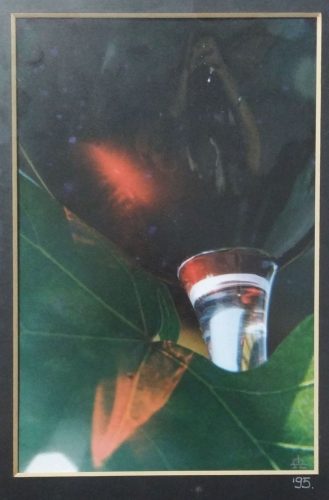 Szél Ágnes (1944- ) fotóművész jelzett felvétele - Tükröződés